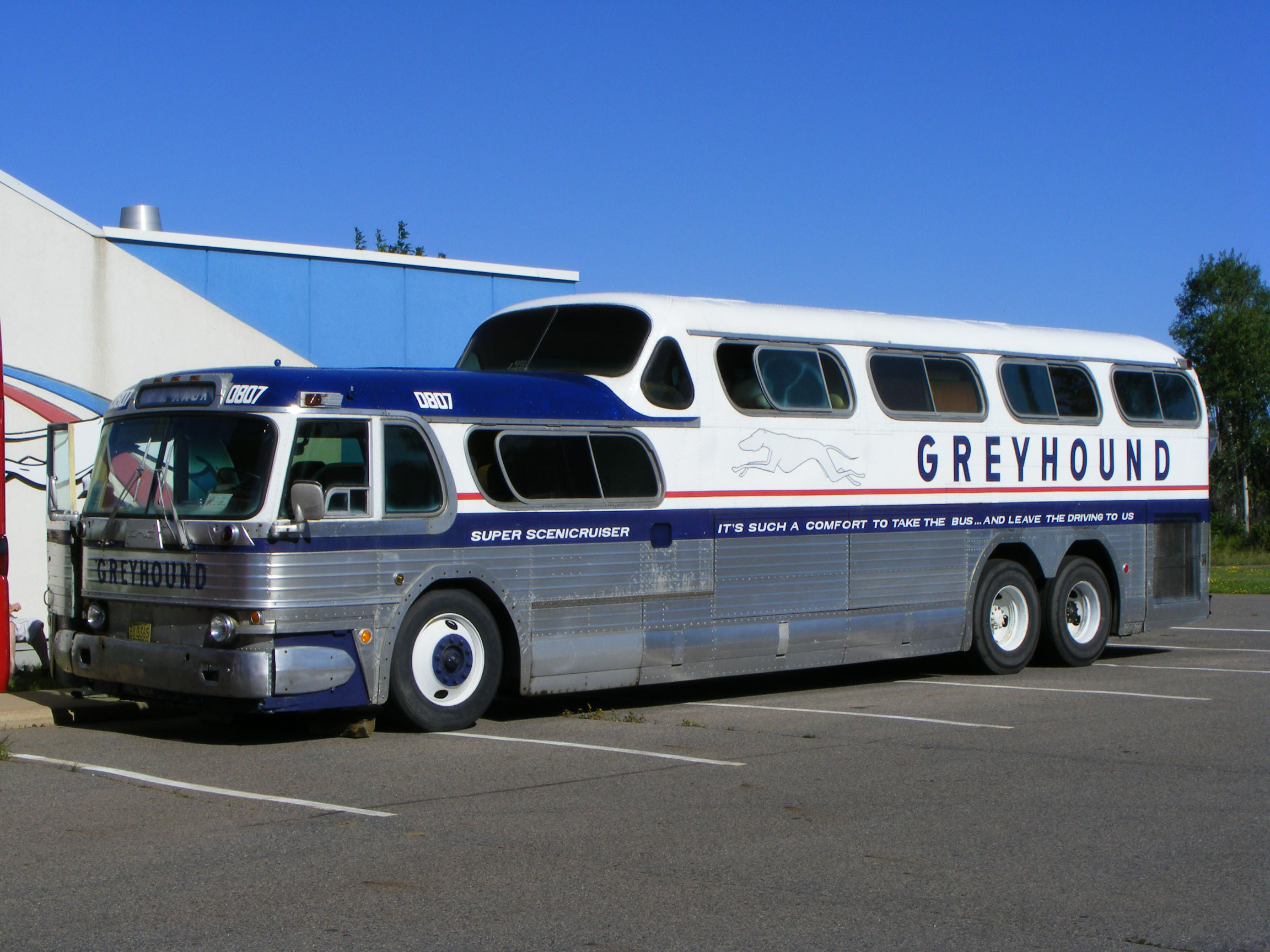 Greyhound SHOWBUS AMERICA BUS IMAGE GALLERY USA